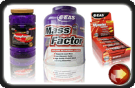 Supplements | Speed - Fat Loss - Endurance - Strength